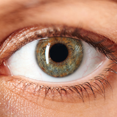  <b>El ojo: consultas frecuentes a la oficina de farmacia.</b><br> IX edición